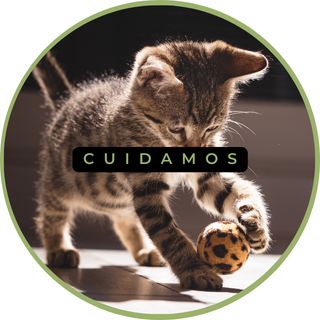 cuidamos