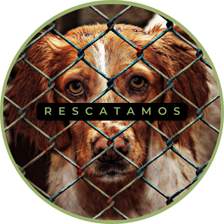 rescatamos